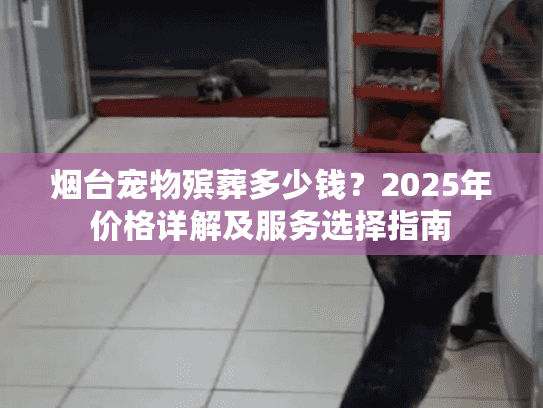 烟台宠物殡葬多少钱？2025年价格详解及服务选择指南