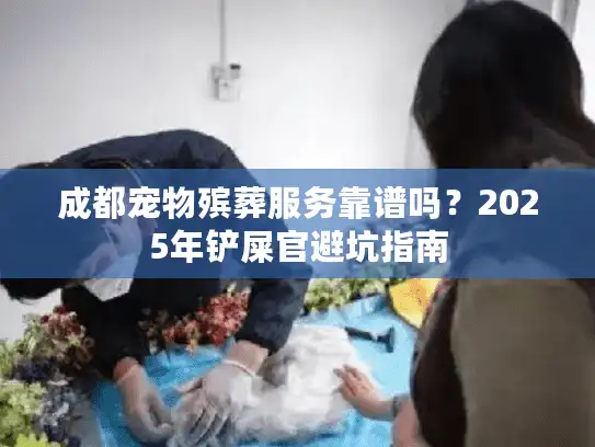 成都宠物殡葬服务靠谱吗？2025年铲屎官避坑指南