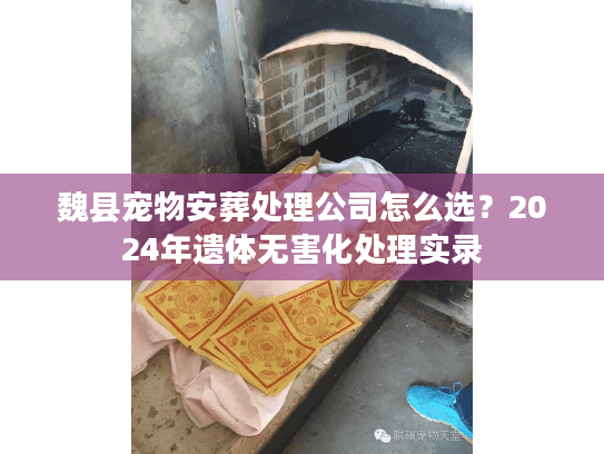 魏县宠物安葬处理公司怎么选？2024年遗体无害化处理实录