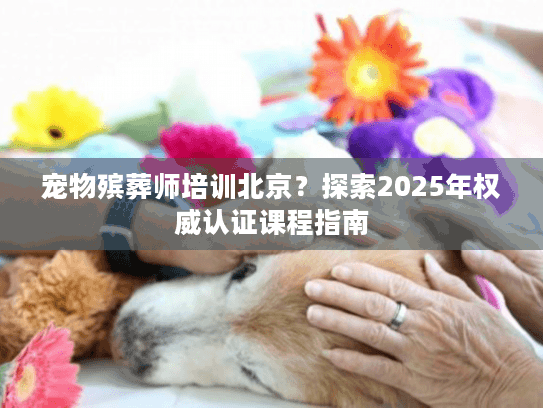 宠物殡葬师培训北京？探索2025年权威认证课程指南
