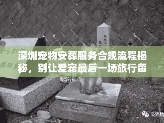深圳宠物安葬服务合规流程揭秘，别让爱宠最后一场旅行留遗憾