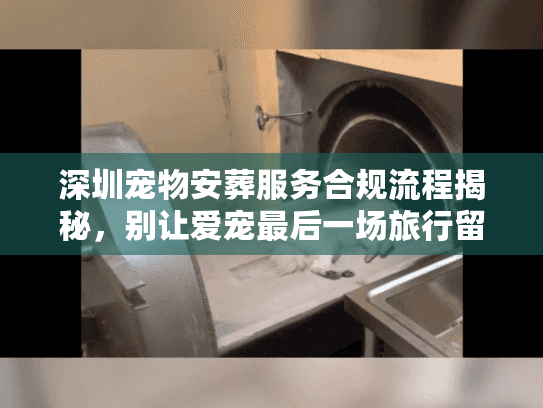 深圳宠物安葬服务合规流程揭秘，别让爱宠最后一场旅行留遗憾