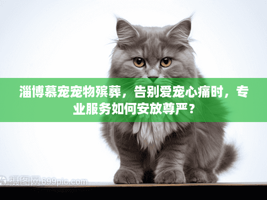 淄博慕宠宠物殡葬，告别爱宠心痛时，专业服务如何安放尊严？