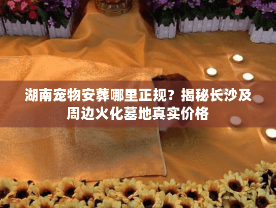 湖南宠物安葬哪里正规？揭秘长沙及周边火化墓地真实价格
