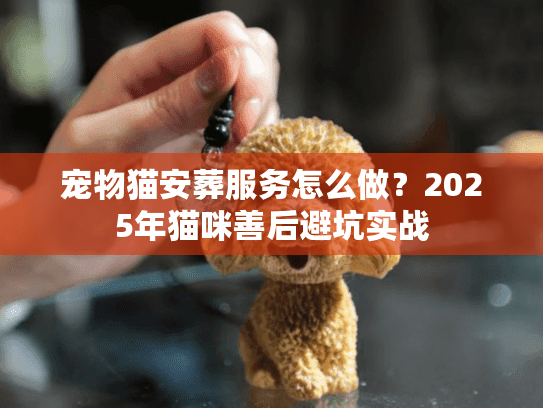 宠物猫安葬服务怎么做?2025年猫咪善后避坑实战 宠物猫安葬服务怎么做?2025年猫咪善后避坑实战