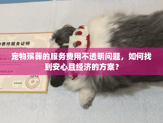宠物殡葬的服务费用不透明问题，如何找到安心且经济的方案？