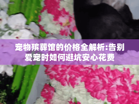 宠物殡葬馆的价格全解析:告别爱宠时如何避坑安心花费