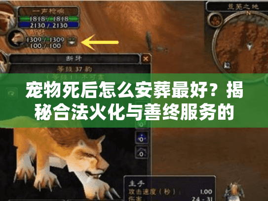 宠物死后怎么安葬最好？揭秘合法火化与善终服务的核心门道