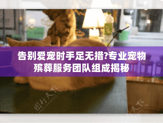 告别爱宠时手足无措?专业宠物殡葬服务团队组成揭秘