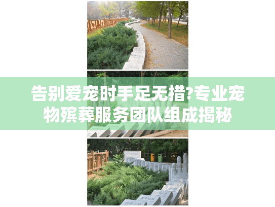 告别爱宠时手足无措?专业宠物殡葬服务团队组成揭秘