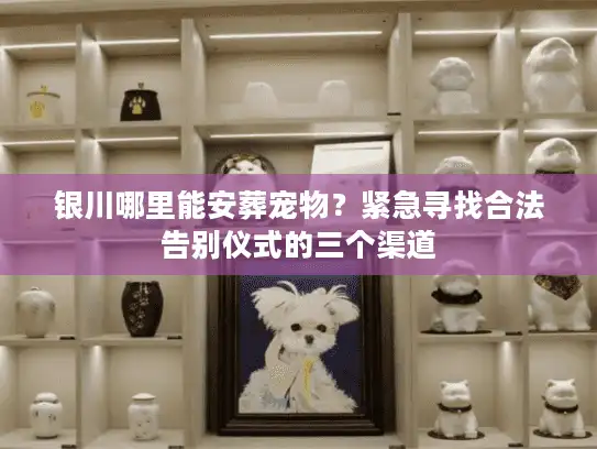 银川哪里能安葬宠物？紧急寻找合法告别仪式的三个渠道
