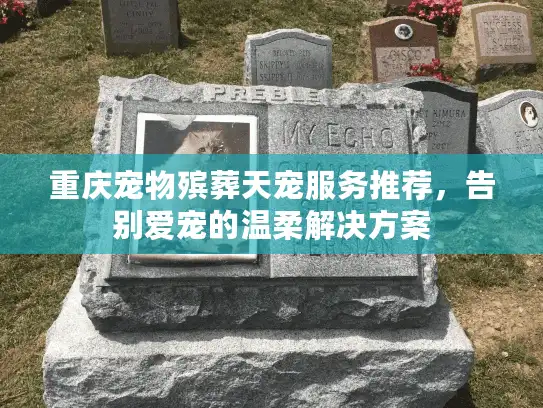 重庆宠物殡葬天宠服务推荐,告别爱宠的温柔解决方案 重庆宠物殡葬天宠服务推荐,告别爱宠的温柔解决方案