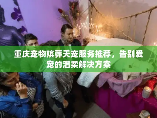 重庆宠物殡葬天宠服务推荐,告别爱宠的温柔解决方案 重庆宠物殡葬天宠服务推荐,告别爱宠的温柔解决方案