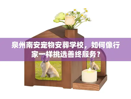 泉州南安宠物安葬学校，如何像行家一样挑选善终服务？