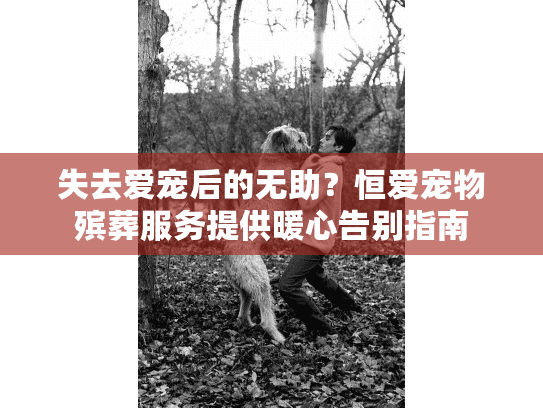 失去爱宠后的无助？恒爱宠物殡葬服务提供暖心告别指南