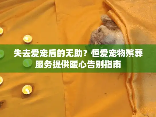 失去爱宠后的无助？恒爱宠物殡葬服务提供暖心告别指南