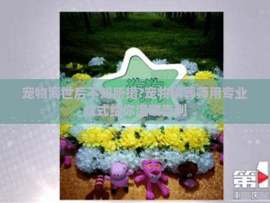 宠物离世后不知所措?宠物殡葬师用专业仪式给你温暖告别 宠物离世后不知所措?宠物殡葬师用专业仪式给你温暖告别