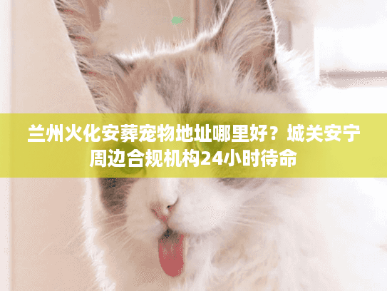 兰州火化安葬宠物地址哪里好？城关安宁周边合规机构24小时待命