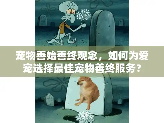 宠物善始善终观念，如何为爱宠选择最佳宠物善终服务？