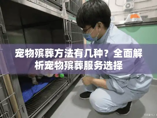宠物殡葬方法有几种？全面解析宠物殡葬服务选择