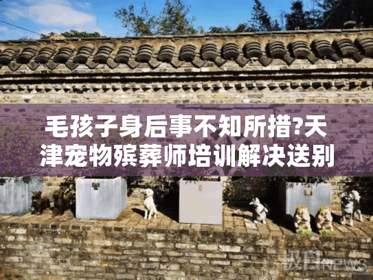 毛孩子身后事不知所措?天津宠物殡葬师培训解决送别难题