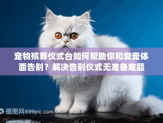 宠物殡葬仪式台如何帮助你和爱宠体面告别？解决告别仪式无准备难题