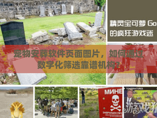 宠物安葬软件页面图片，如何通过数字化筛选靠谱机构？