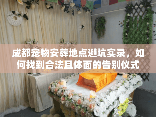 成都宠物安葬地点避坑实录，如何找到合法且体面的告别仪式？