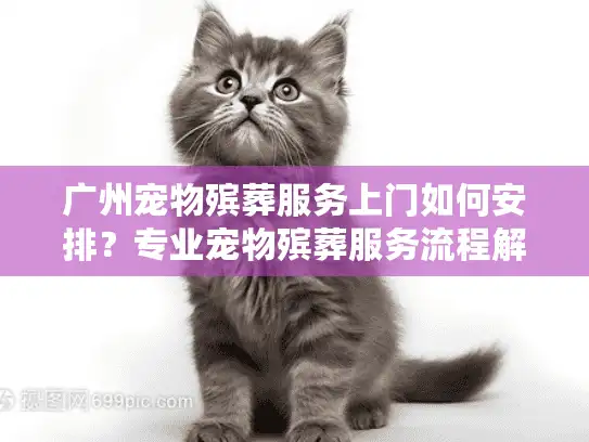 广州宠物殡葬服务上门如何安排？专业宠物殡葬服务流程解析