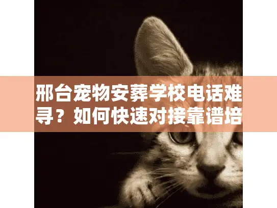 邢台宠物安葬学校电话难寻？如何快速对接靠谱培训资源