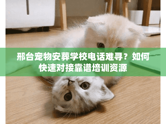 邢台宠物安葬学校电话难寻？如何快速对接靠谱培训资源