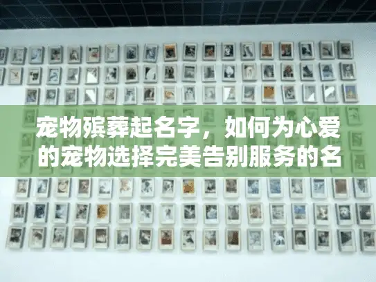 宠物殡葬起名字，如何为心爱的宠物选择完美告别服务的名称？