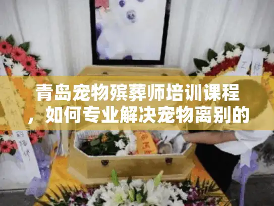 青岛宠物殡葬师培训课程,如何专业解决宠物离别的伤痛? 青岛宠物殡葬师培训课程,如何专业解决宠物离别的伤痛?