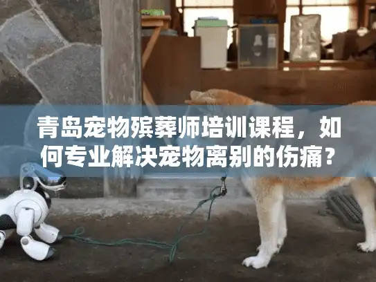 青岛宠物殡葬师培训课程,如何专业解决宠物离别的伤痛? 青岛宠物殡葬师培训课程,如何专业解决宠物离别的伤痛?