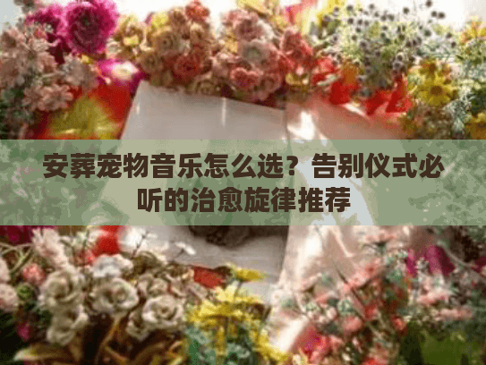 安葬宠物音乐怎么选？告别仪式必听的治愈旋律推荐