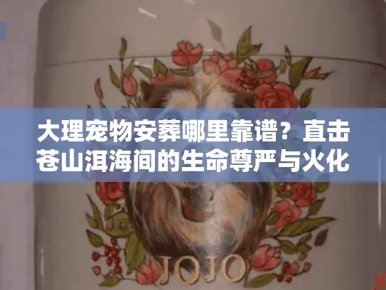 大理宠物安葬哪里靠谱？直击苍山洱海间的生命尊严与火化全解