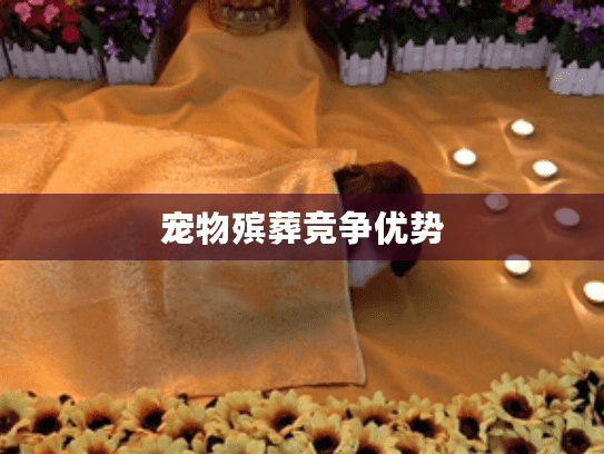 宠物殡葬竞争优势
