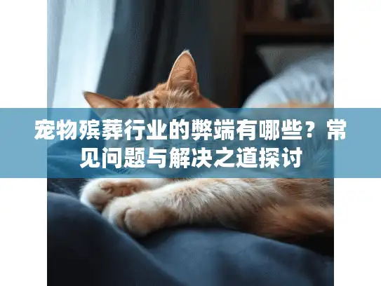 宠物殡葬行业的弊端有哪些？常见问题与解决之道探讨