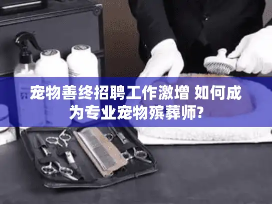 宠物善终招聘工作激增 如何成为专业宠物殡葬师?
