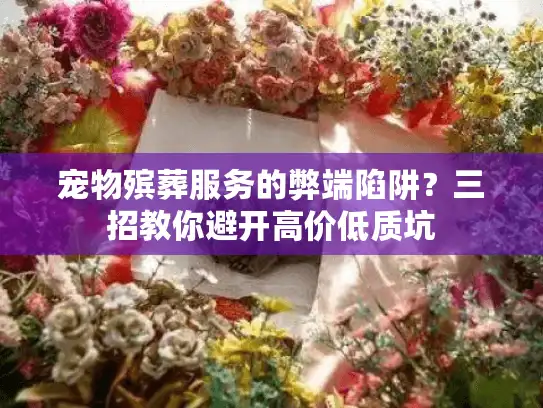 宠物殡葬服务的弊端陷阱?三招教你避开高价低质坑 宠物殡葬服务的弊端陷阱?三招教你避开高价低质坑