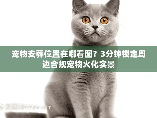 宠物安葬位置在哪看图？3分钟锁定周边合规宠物火化实景