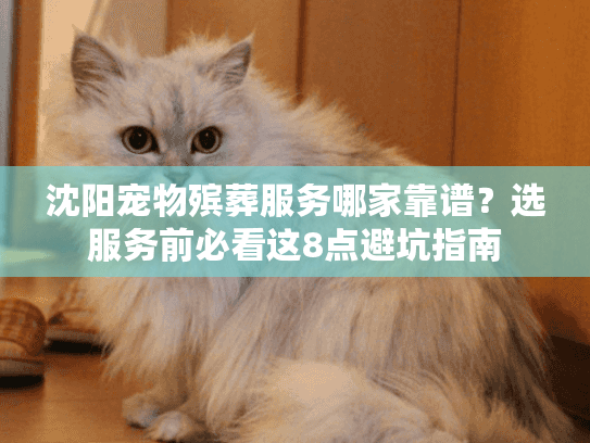 沈阳宠物殡葬服务哪家靠谱？选服务前必看这8点避坑指南