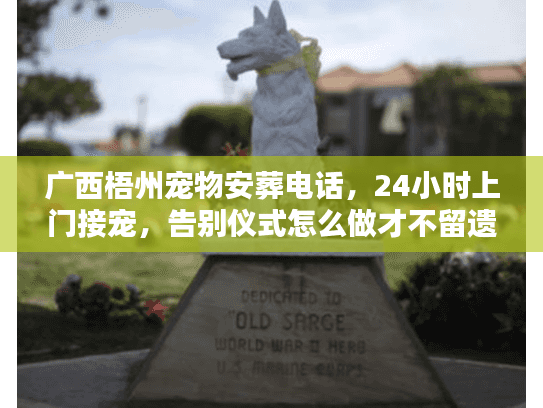 广西梧州宠物安葬电话，24小时上门接宠，告别仪式怎么做才不留遗憾