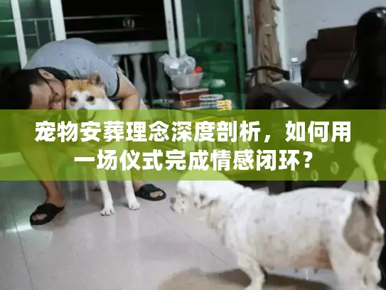 宠物安葬理念深度剖析，如何用一场仪式完成情感闭环？
