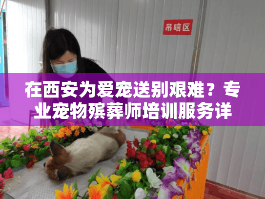 在西安为爱宠送别艰难？专业宠物殡葬师培训服务详解