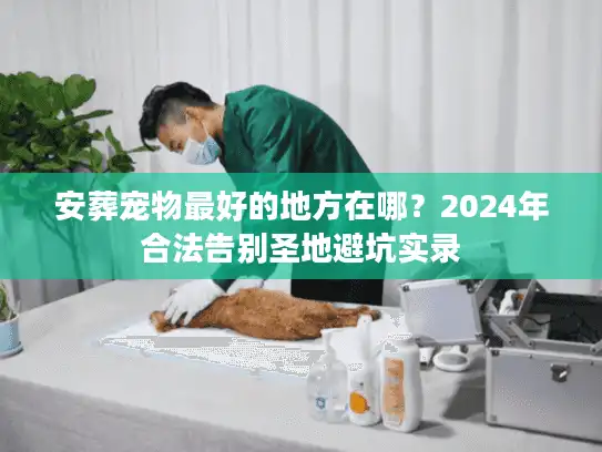 安葬宠物最好的地方在哪？2024年合法告别圣地避坑实录
