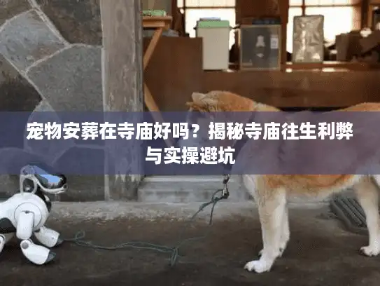 宠物安葬在寺庙好吗?揭秘寺庙往生利弊与实操避坑 宠物安葬在寺庙好吗?揭秘寺庙往生利弊与实操避坑