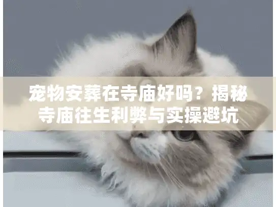 宠物安葬在寺庙好吗?揭秘寺庙往生利弊与实操避坑 宠物安葬在寺庙好吗?揭秘寺庙往生利弊与实操避坑