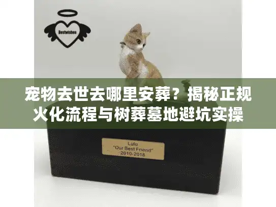 宠物去世去哪里安葬？揭秘正规火化流程与树葬墓地避坑实操