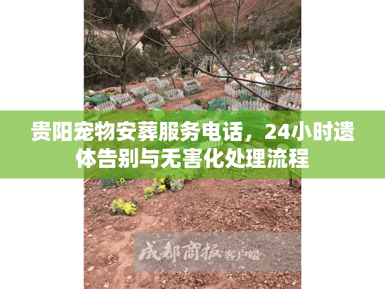 贵阳宠物安葬服务电话,24小时遗体告别与无害化处理流程 贵阳宠物安葬服务电话,24小时遗体告别与无害化处理流程